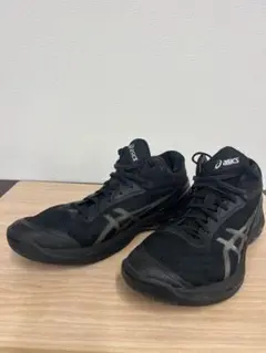 Item thumbnail for item f6805386-241c-494b-8b99-39bab72e5baa