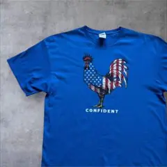 【DELTA】CONFIDENT アメリカ国旗 鶏 Tシャツ 2XL 古着