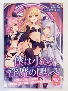 僕は小さな淫魔のしもべ ―サキュバスハーレムライフ―