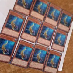 パンサー・シャーク12枚セット　遊戯王