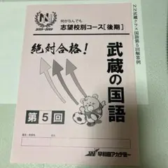 NN武蔵　日曜特訓　後期第５〜8回セット　早稲田アカデミー　志望校対策 NN志望校別コース（後期） 武蔵クラス 小6 | オプションコース
