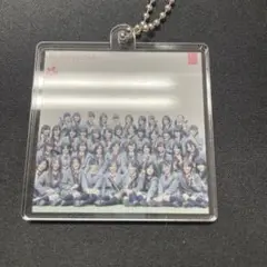 AKB48 ツアーCD購入特典 アクリルキーホルダー 桜の花びらたち2008