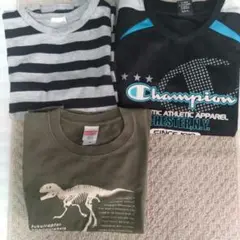 恐竜骨格デザイン Tシャツ 100cm