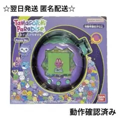 翌日発送 たまごっちパラダイス カスタムカラー パープル×グリーン 本体