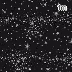 ラスト 1m 星降る空 ブラック地シルバースター オックス