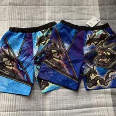 Item thumbnail for item 5327d618-3edf-425f-8200-5b48484d15f7