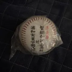 第97回選抜高校野球大会　準決勝ボール　智弁和歌山　浦和実業学園　センバツ