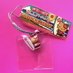 【超希少】レア★神奈川限定湘南バージョン ご当地キティ 根付け