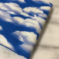 生地　オックス　リアルプリント　雲　2.5メートル
