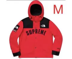 Supreme The North Face Mountain Parka