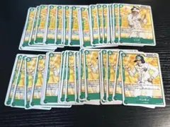 ワンピースカード！ペンギン×25 ・シャチ×25