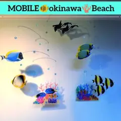 スキューバダイビング　モビール　シャチ　オルカ　サンゴ礁　珊瑚
