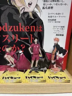 ハイキュー アクスタ(ミニ)セット