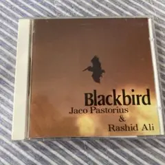 Jaco pastrius / Black Bird