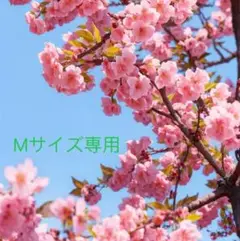 Item thumbnail for item 403ff4ef-b162-4922-9220-b3aed768c5a0