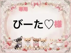 専用