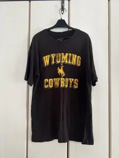 Champion Wyoming Cowboys Tシャツ Lサイズ