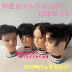 カットウィッグ　カットマネキン　美容師　理容師　お化け屋敷　かかし　農業