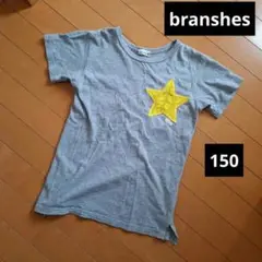 branshes ほし刺繍 Tシャツ グレー　半袖tシャツ　150　ブランシェス
