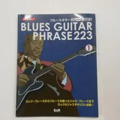 ブルースギターフレーズ223 : めざせ達人! 1