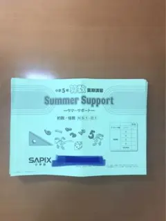 ⭐︎SAPIX 5年社会フルセット⭐︎2022年未使用多数あり！ 2025年最新】サピックス5年テキス算数の人気アイテム - メルカリ