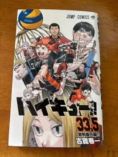 ハイキュー!! 33.5 特別版