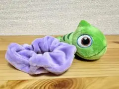 パスカル　シュシュ　ラプンツェル