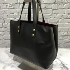 【美品】ルイヴィトン ヴェルニ リード PMバッグ ブラック E2
