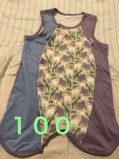 Item thumbnail for item b992d57d-c2fb-40b3-a767-056955e9693c