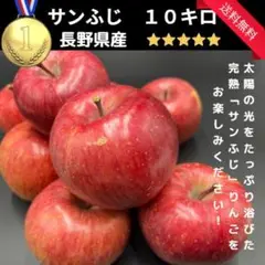 長野県産 サンふじ りんご 10キロ 秀品 全国発送可