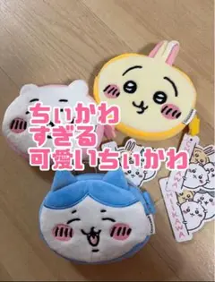 【限定】ちぃから　3個セット