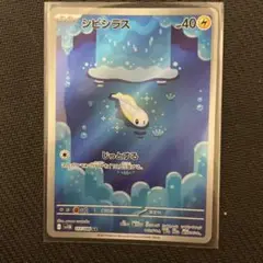 シビシラス　ar