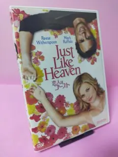 恋人はゴースト　DVD