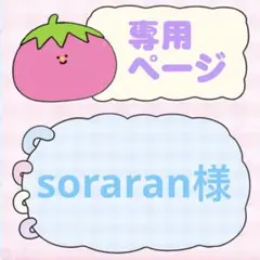 専用ページ