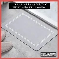 Item thumbnail for item b06355de-f153-4c4d-aee1-6345b6b197a2
