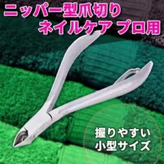 Item thumbnail for item 33222a23-8292-456f-92f4-b714ac7f4c4b