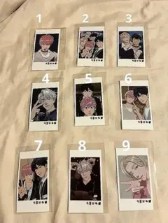 Plave チェキ　プレイブ9枚セット