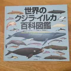 世界のクジラ・イルカ百科図鑑   新装版/河出書房新社/アナリサ・ベルタ（単行本） 世界のクジラ・イルカ百科図鑑 新装版/河出書房新社/アナリサ