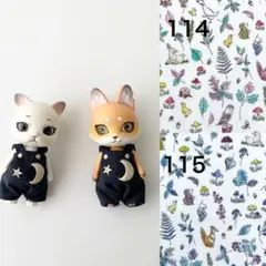 専用