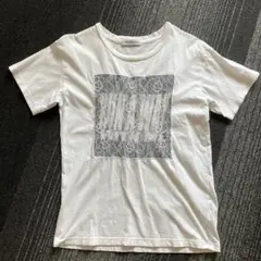 BROWNY ホワイト 半袖Tシャツ レースデザイン