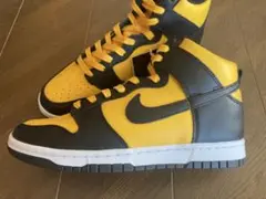 最終価格！DUNK HIGH RETRO DD1399-700 ナイキ　タグ付き