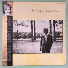 ウェザーボックス デイヴィッド・シルヴィアン 限定盤5枚組BOX ウェザー・ボックス/DAVID SYLVIAN/デヴィッド・シルヴィアン