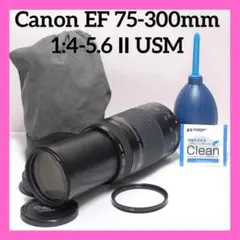 Item thumbnail for item bc0d4b65-47b8-4173-a2ca-35628986b2f2