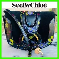 一目惚れ■新品■希少■SEE BY CHLOE シーバイクロエ ショルダーバッグ