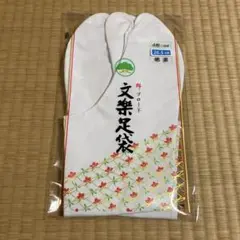 Item thumbnail for item ccb213a4-a4ef-4f31-9078-e81d2e26d6e8