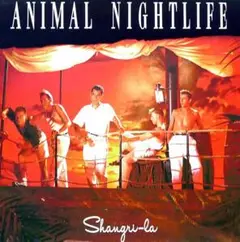 Animal Nightlife/Shangri-La アニマル・ナイトライフ