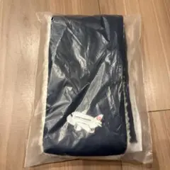 Item thumbnail for item 6d940c73-7b7a-4f7f-ab52-1996d866baec