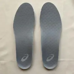 asicsアシックス バッシュ インソール 25.5cmグレー ②