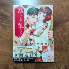 孕むまで乱れいけ～身代わり花嫁と軍服の猛愛〜 1