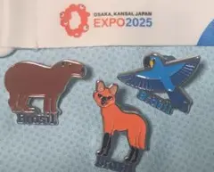 【超激レア スタッフ限定 非売品】EXPO ブラジル館公式ピンバッジ 3個セット